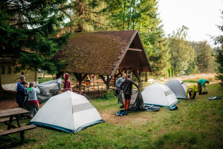 grupa ludzi rozkłada namioty na polanie w lesie